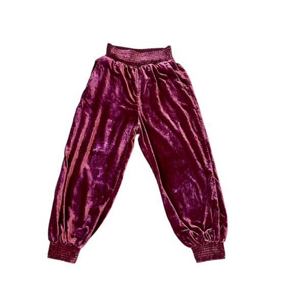 Anthropology Velvet Velour Smocked Gloria Wine Harem Jogger Pocket Pants Smalll - Picture 3 of 10